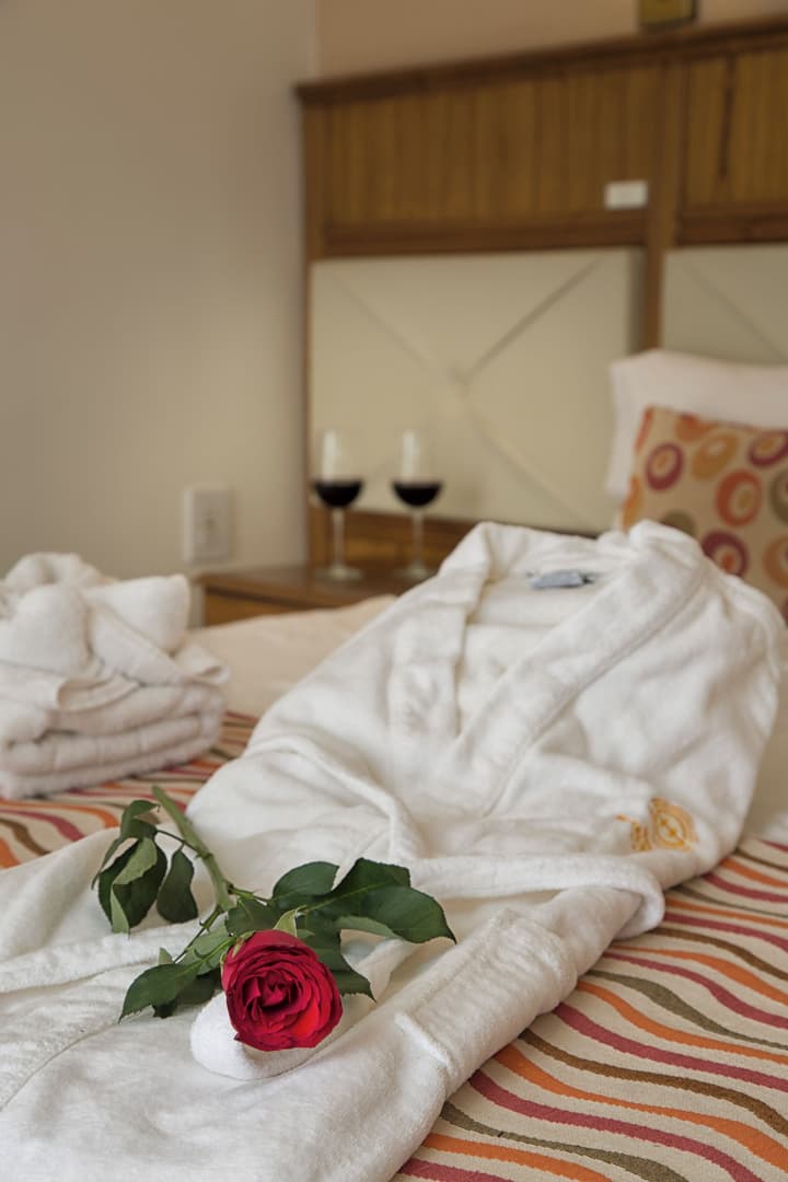 Hotel Sheltown