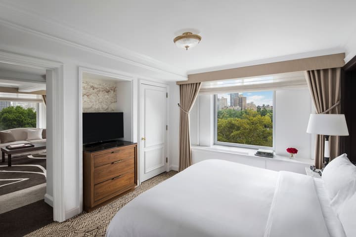 The Ritz-Carlton New York, Central Park