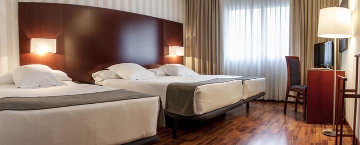 Hotel Zenit Malaga