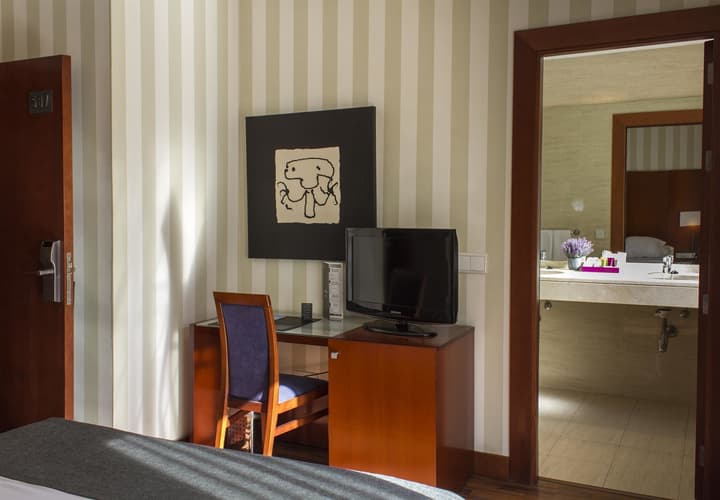 Hotel Zenit Malaga