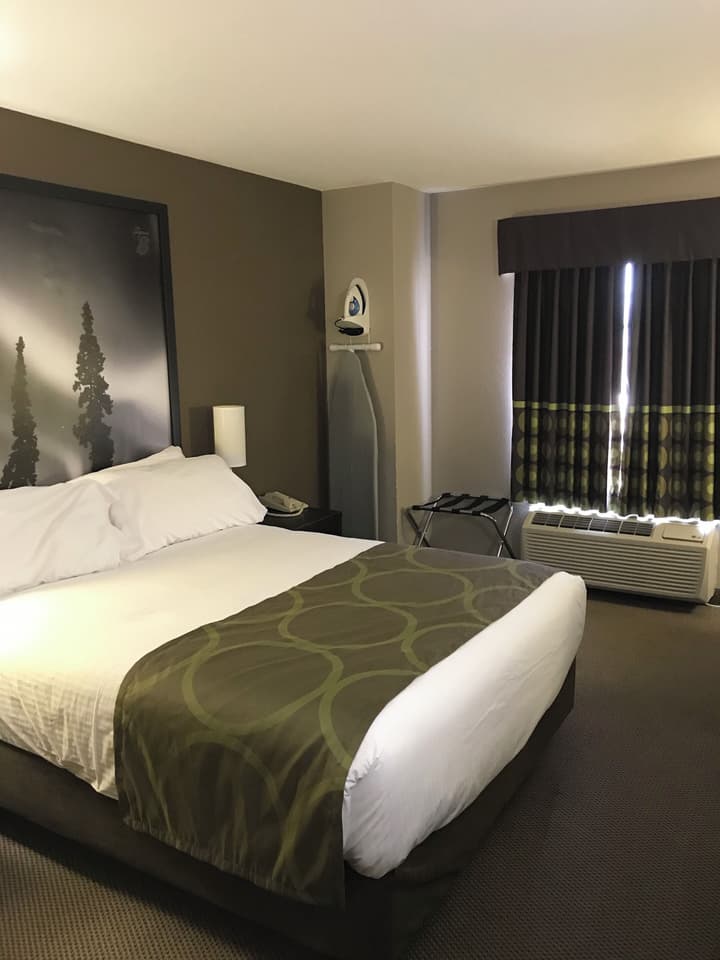 Super 8 by Wyndham Prince Albert