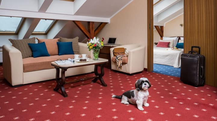 Booking Hotel & Spa