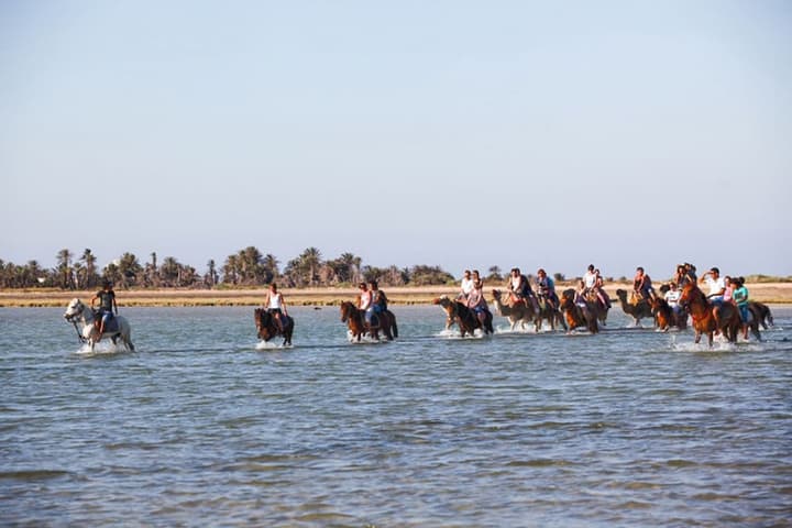 EL MOURADI DJERBA MENZEL