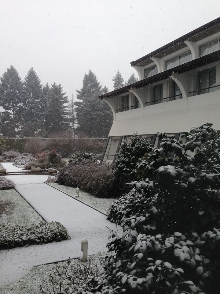 Cardano Hotel Malpensa