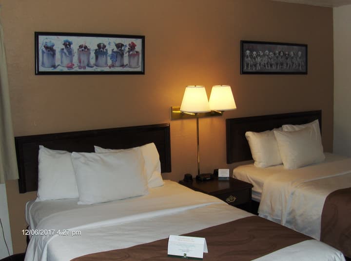 Quality Inn Port Angeles - near Olympic National Park