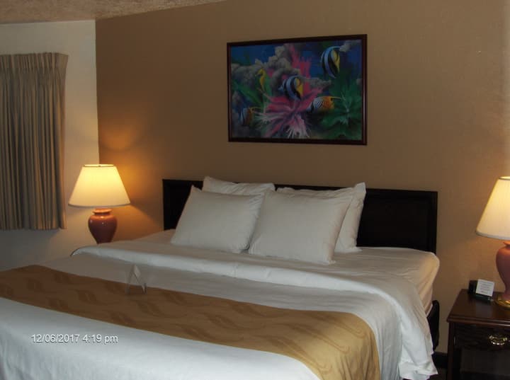 Quality Inn Port Angeles - near Olympic National Park