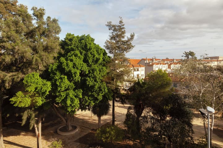 Macià Doñana
