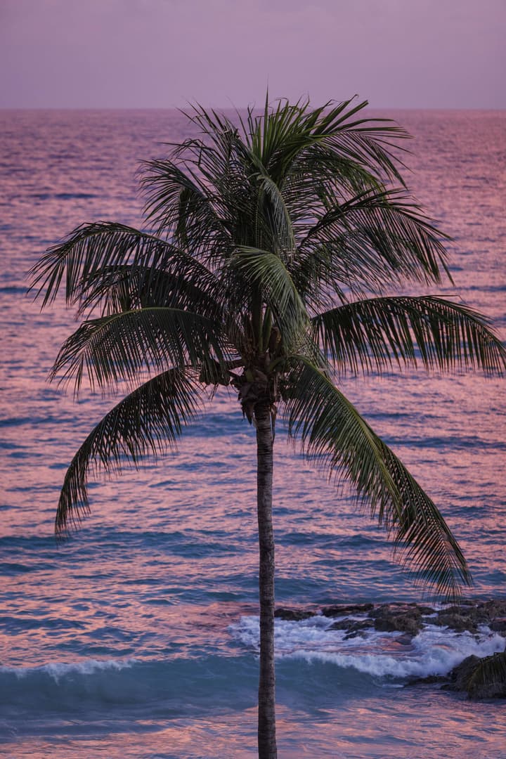 Sandals Montego Bay - ALL INCLUSIVE Adults Only