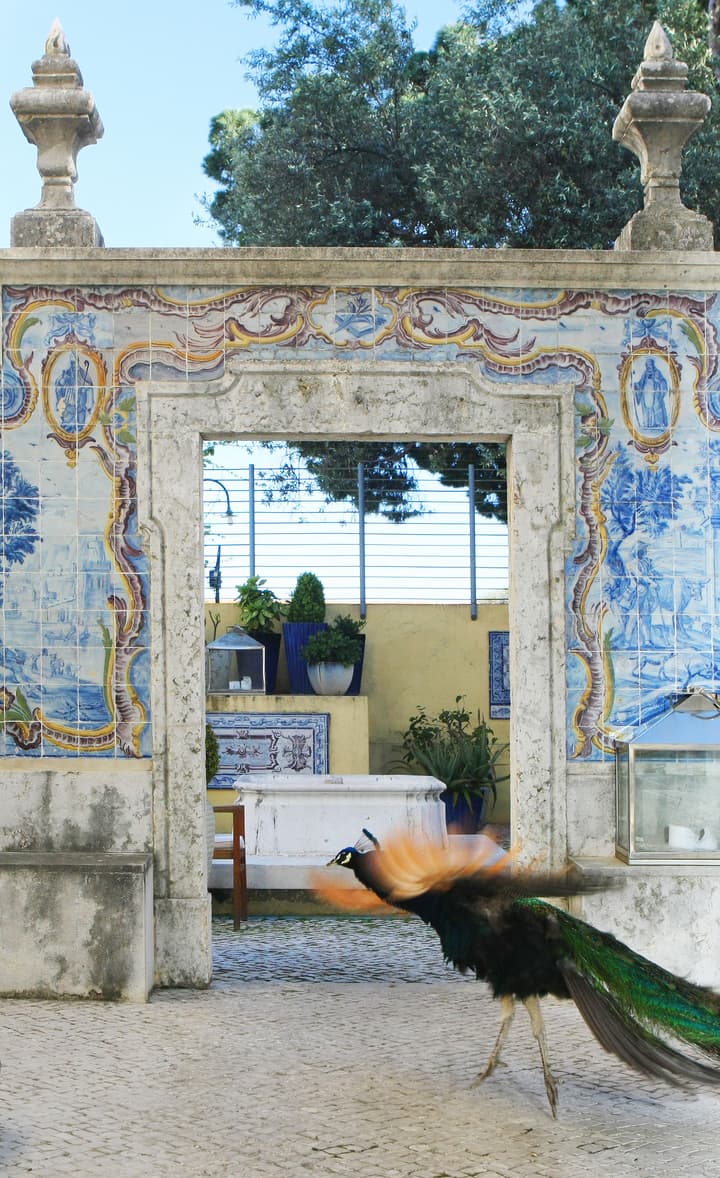 Solar Do Castelo, a Lisbon Heritage Collection