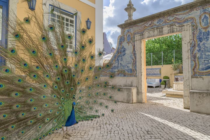 Solar Do Castelo, a Lisbon Heritage Collection