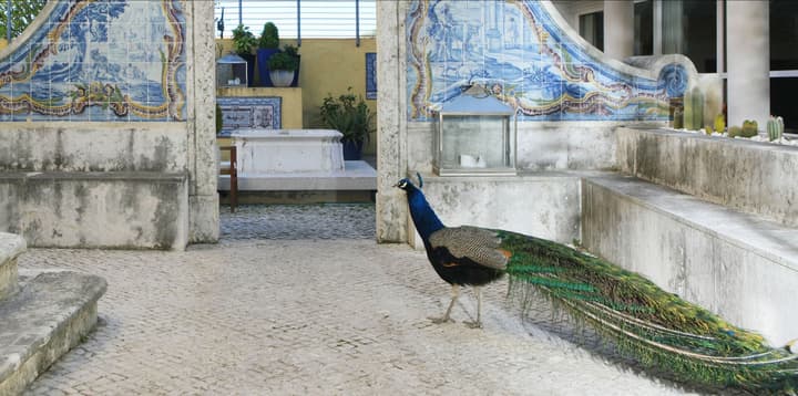 Solar Do Castelo, a Lisbon Heritage Collection