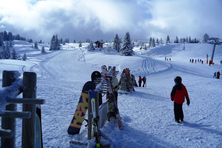Chalet Hotel Du Bois
