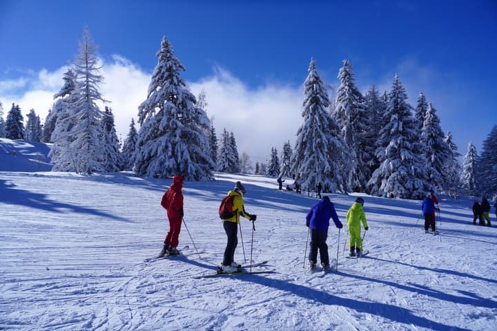 Chalet Hotel Du Bois