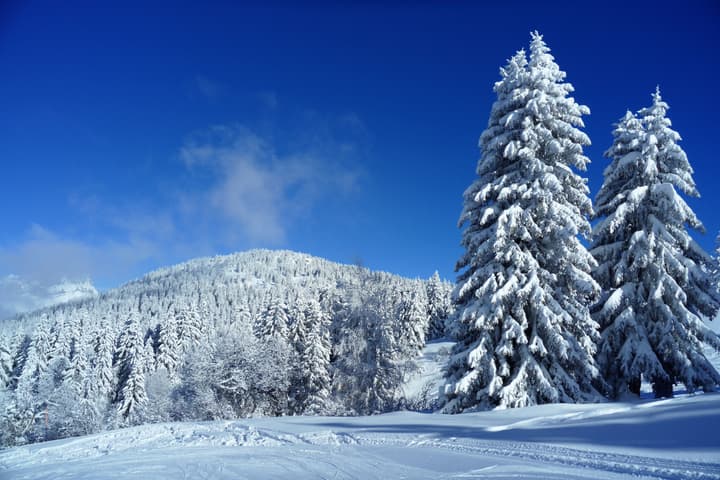 Chalet Hotel Du Bois