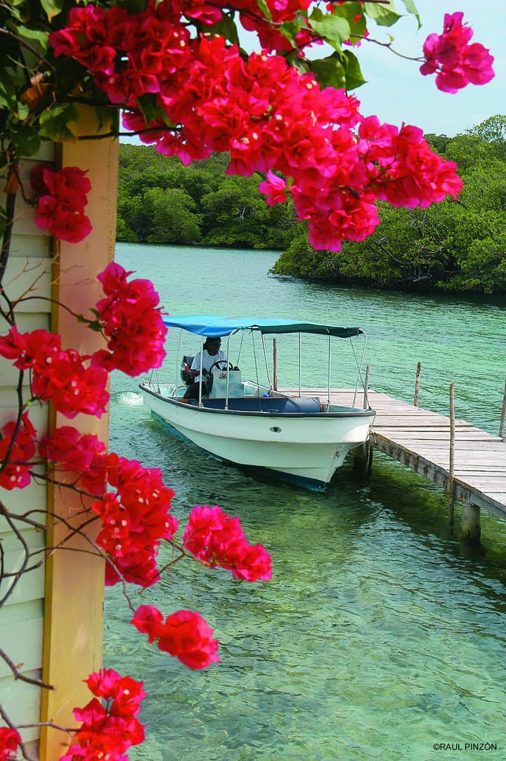 Punta Caracol Acqua Lodge