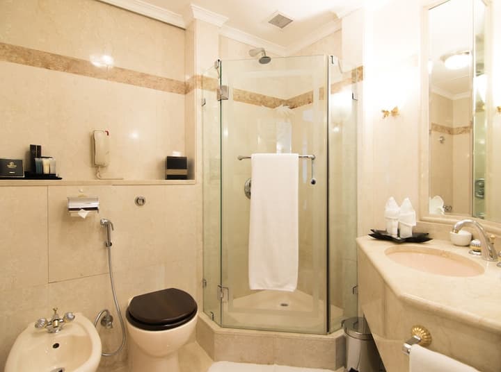 Carlton Palace Hotel