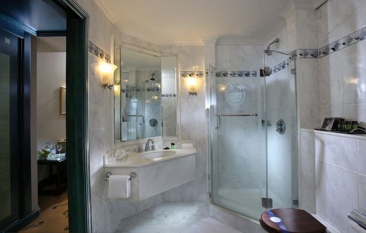 Carlton Palace Hotel