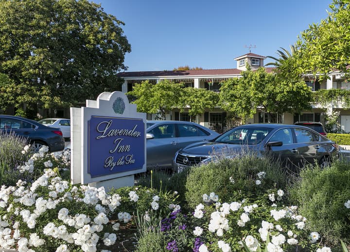 Lavender Inn by the Sea