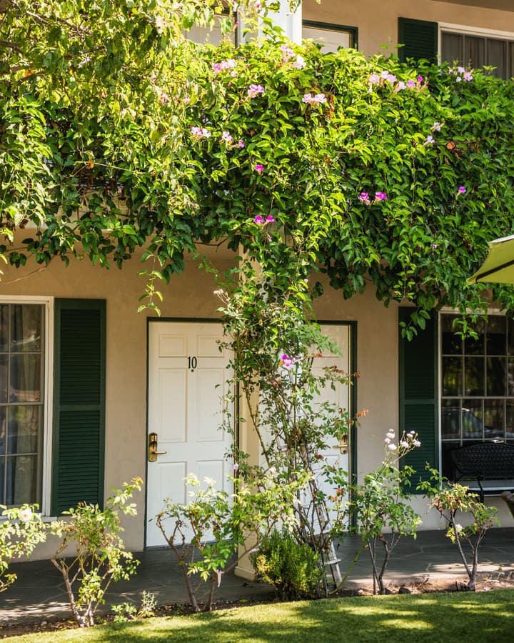 Lavender Inn by the Sea