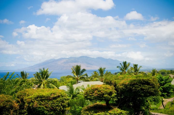 Hotel Wailea Maui