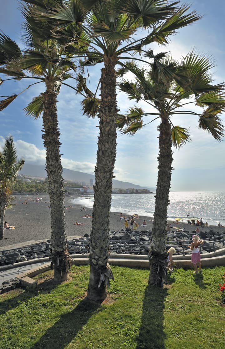 Sol Puerto De La Cruz Tenerife
