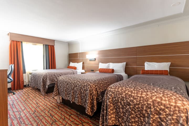 Kalika Hotel