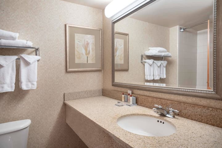 Wingate by Wyndham Charlotte Airport I-85/I-485