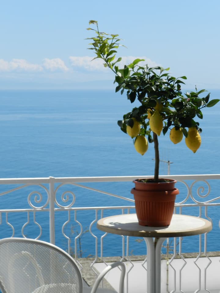 Hotel Holiday