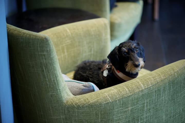 The Lodge Hotel - Putney