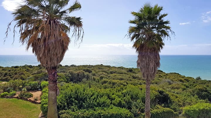 Pestana Palm Gardens
