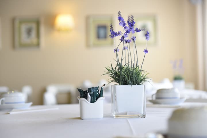 Hotel Apartamento Solverde