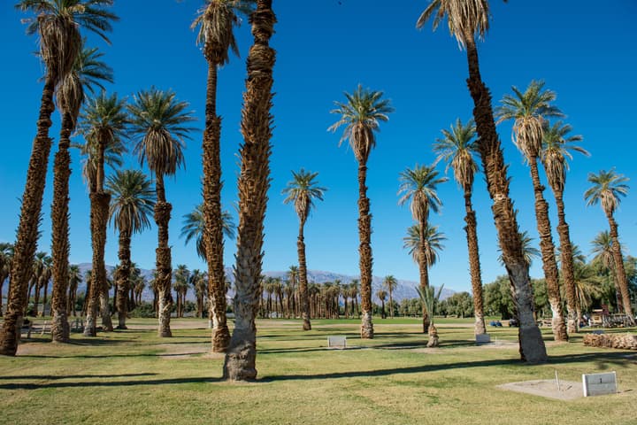 The Ranch at Death Valley – Inside the Park
