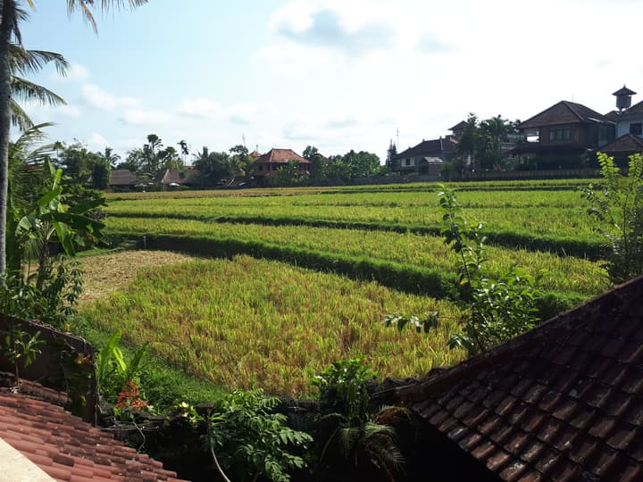Cendana Resort & Spa