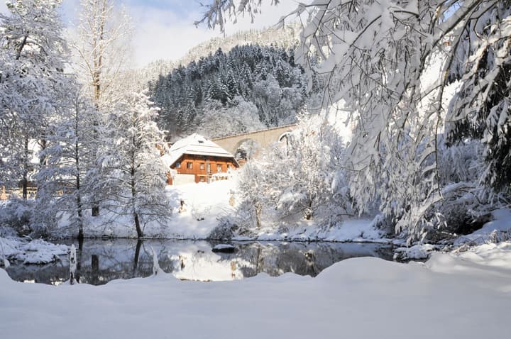 Hotel Hofgut Sternen | Ravennaschlucht