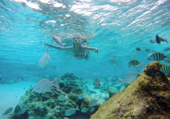 Mia Reef Isla Mujeres - All Inclusive