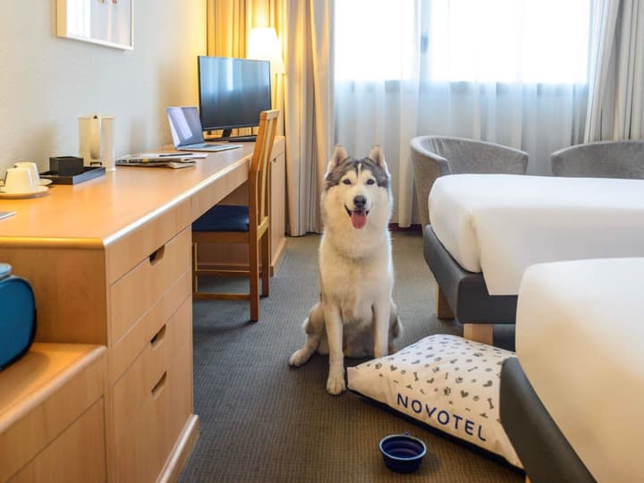 Novotel Torino Corso Giulio Cesare