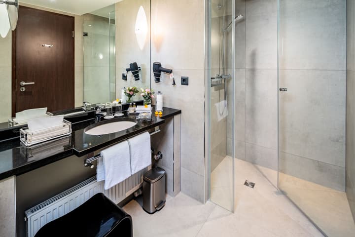 Park Plaza Trier