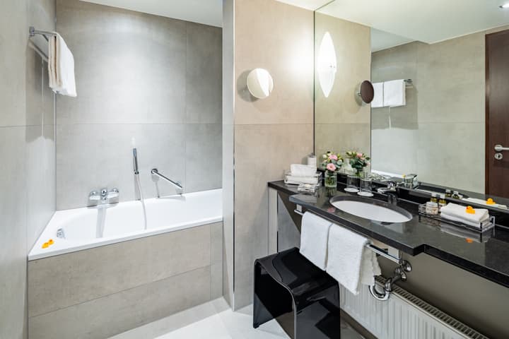 Park Plaza Trier