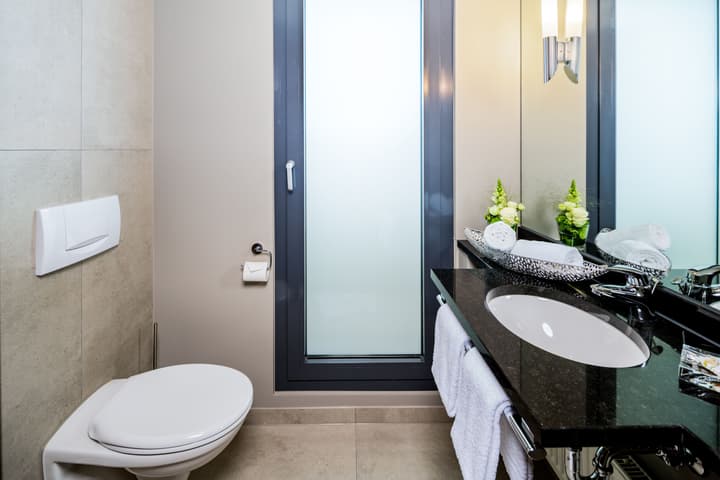 Park Plaza Trier