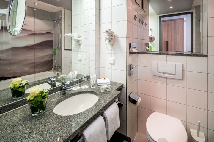Park Plaza Trier