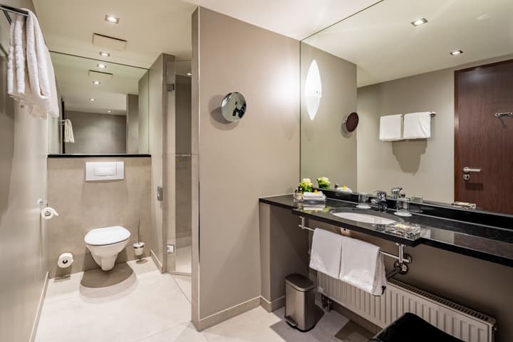 Park Plaza Trier