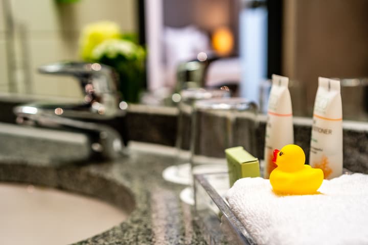 Park Plaza Trier