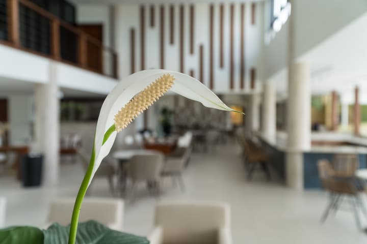 Cara Hotels Trinidad