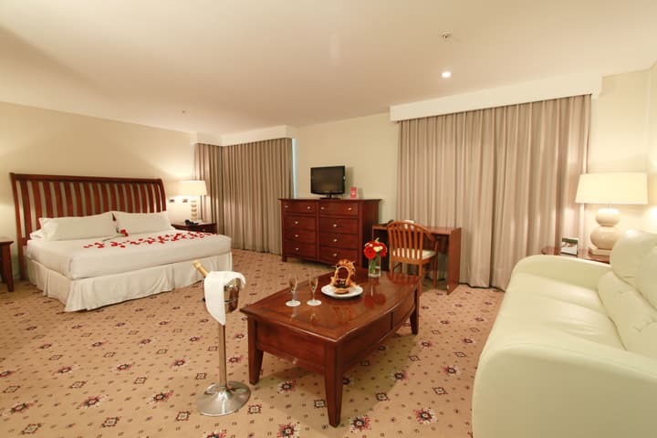 Hotel Torremayor Lyon