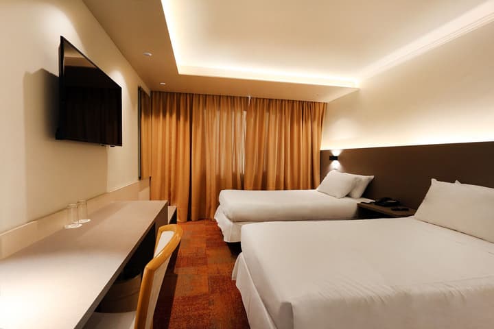 Hotel Torremayor Lyon