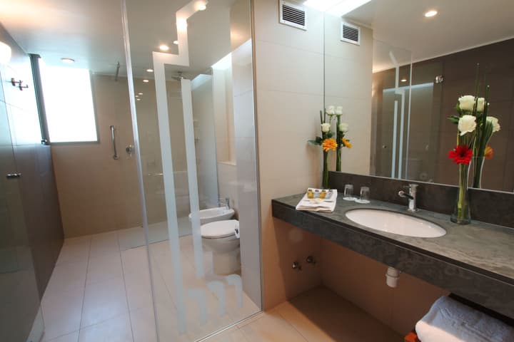 Hotel Torremayor Lyon