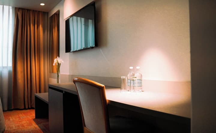 Hotel Torremayor Lyon
