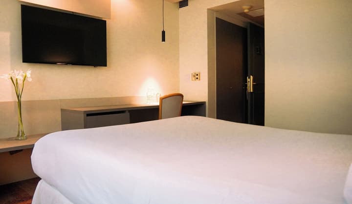 Hotel Torremayor Lyon