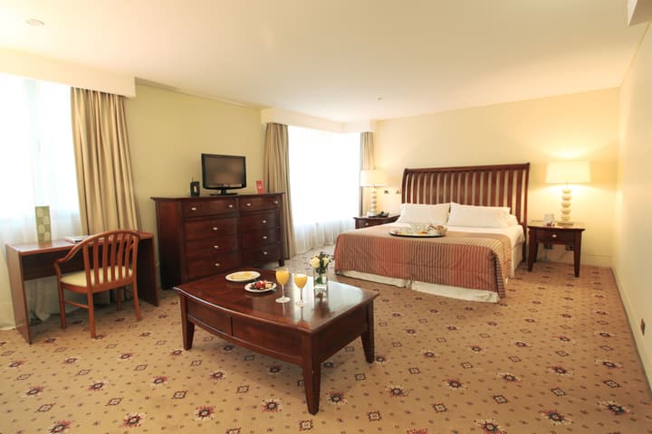 Hotel Torremayor Lyon