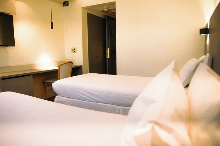 Hotel Torremayor Lyon
